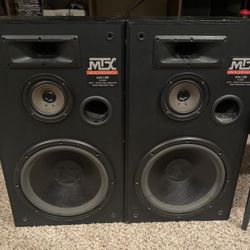 Mtx Speakers With The Stereo 