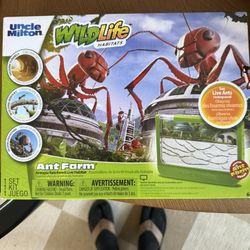 Kids Ant Farm