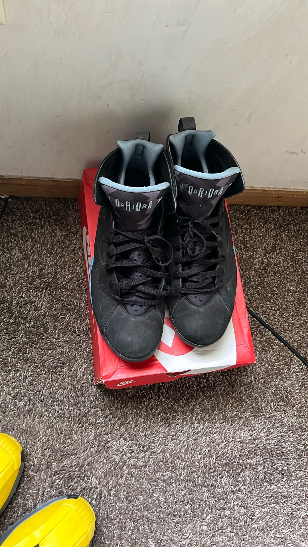 Air Jordan 7 SIZE 12