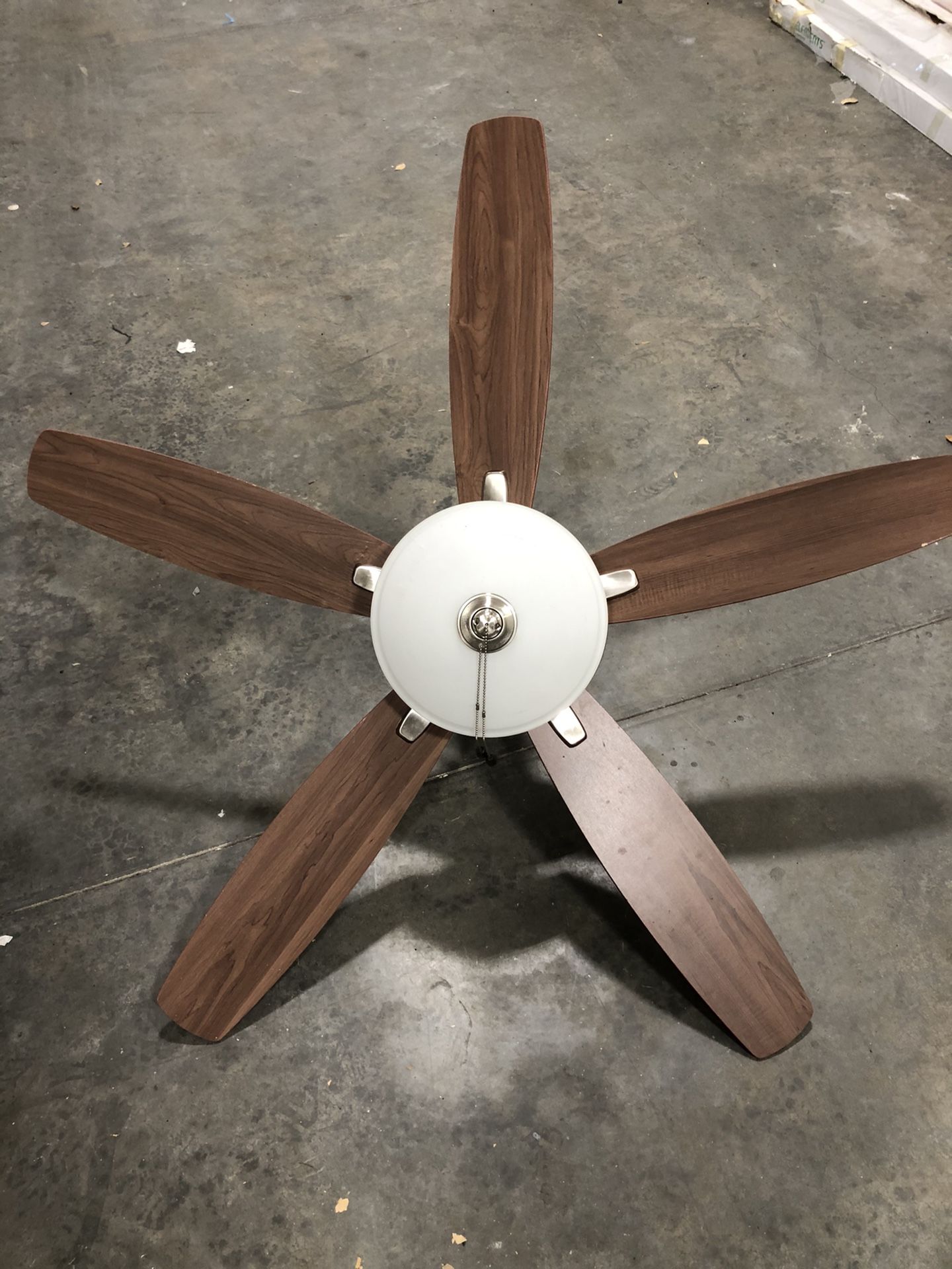 Fan