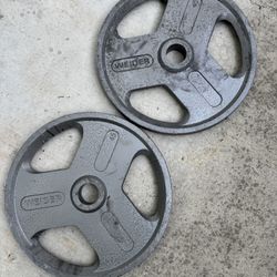 Pair Of 45 Pound Weider Olympic Weights