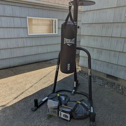 Everlast Steel Framed Heavy Punching Bag and Speed Bag Stand