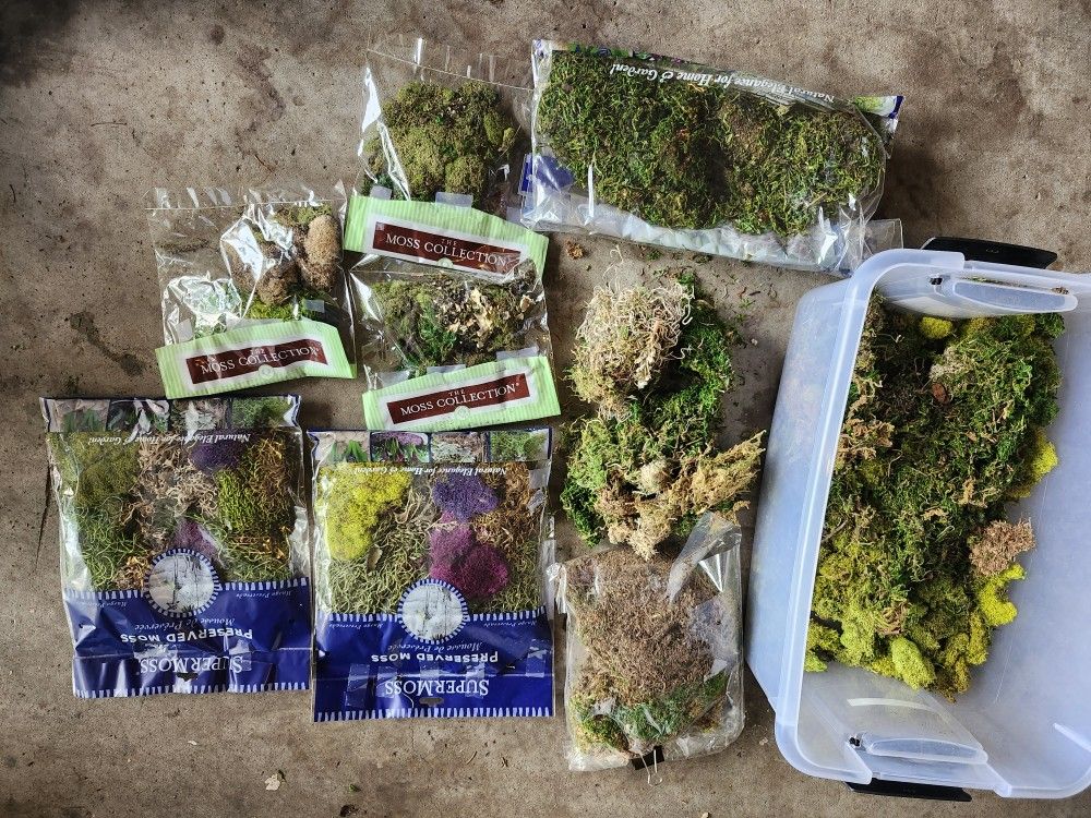 Tons Of Preserved Moss