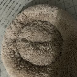 Big Pet Bed Used A Few Times