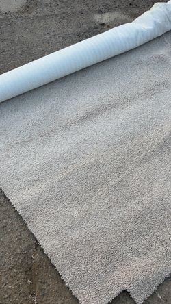 Carpet
