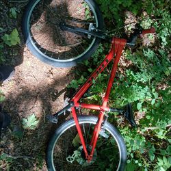 Trek Small