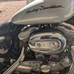 2014 Harley-Davidson Super low Sportster