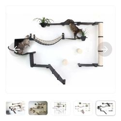 Cat Wall  Mount Play Ground