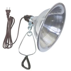 Clamp Lights For Workshop Or Photography 