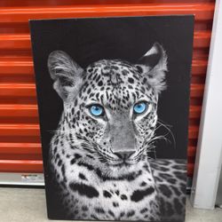 Blue Eyed Leopard Canvas.