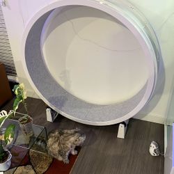 New Cat Wheel (hamster wheel)