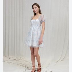 Organza print poufy short sleeve dress