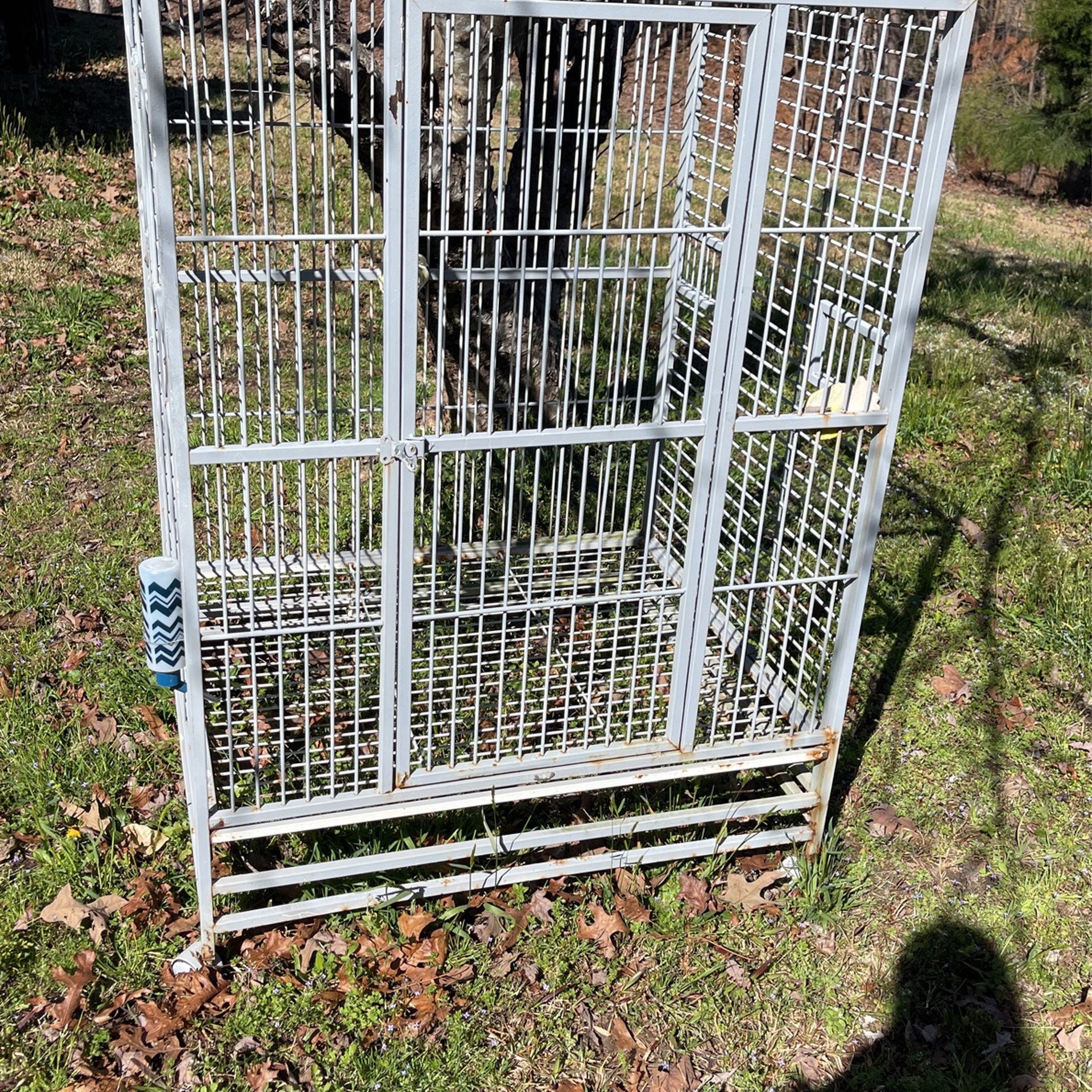 Bird Cage