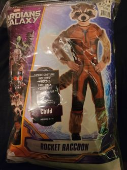 Rocky raccoon costume