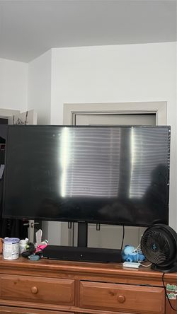 Insignia Flat Screen TV