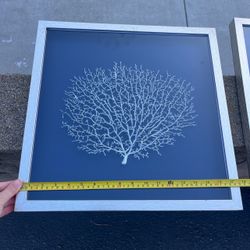 🪸 faux sea fan coral shadow box framed wall art hanging home decor coastal boho