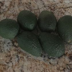 Aguacates Noturalez