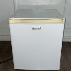 Mini Fridge 