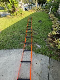 professional fall-protection rescue/access ladder
