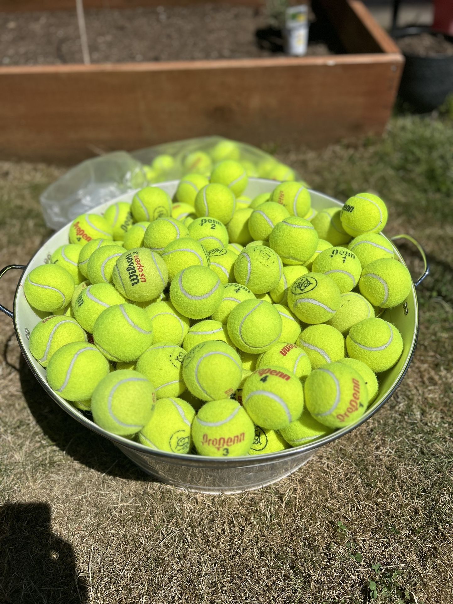 Tennis Balls