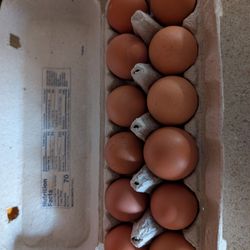 Farm Brown Eggs