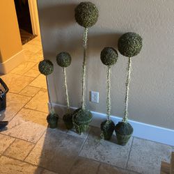 Topiaries Set Of 5 For $25