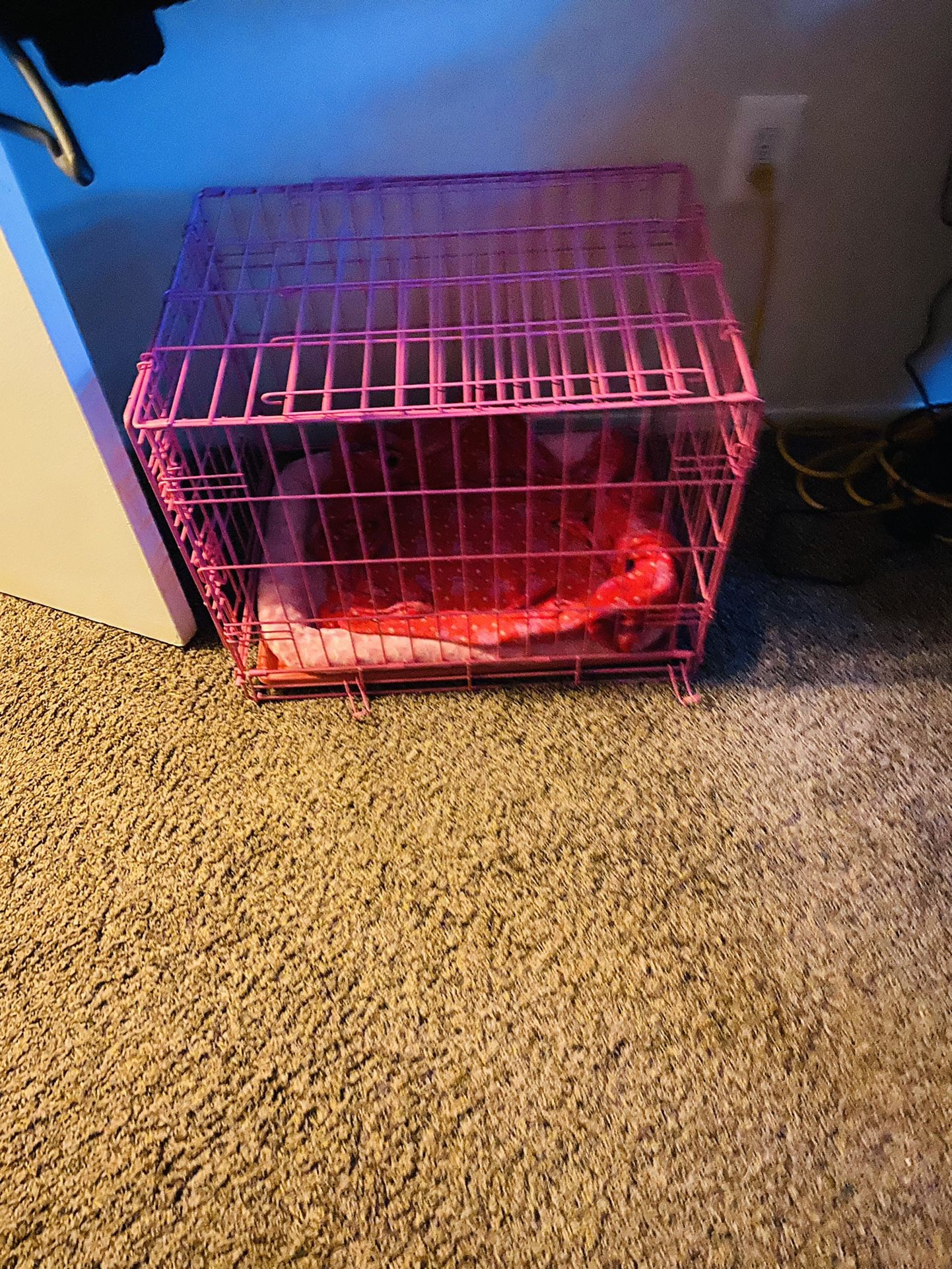 Brand New Crate and Pad