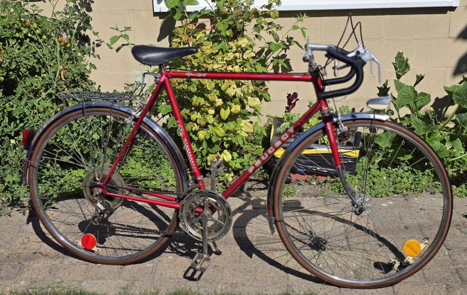 Vintage Peugeot Men's Bike