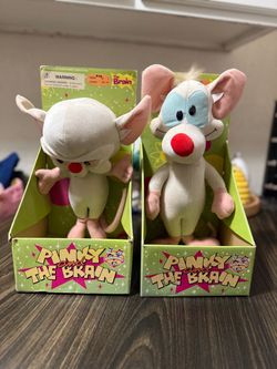 Pinky and the brain
