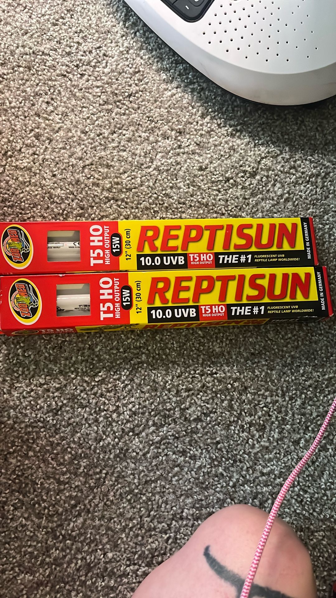 reptile UVB 