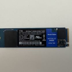 WD SN550 1TB NVMe SSD Drive, 100% Health