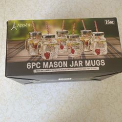 Mason Jar Mugs 6pc