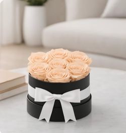 Peach forever roses-6 roses