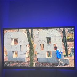 Insignia 43” 1080p HD LED TV – Great Condition 