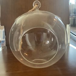 hanging glass terrarium