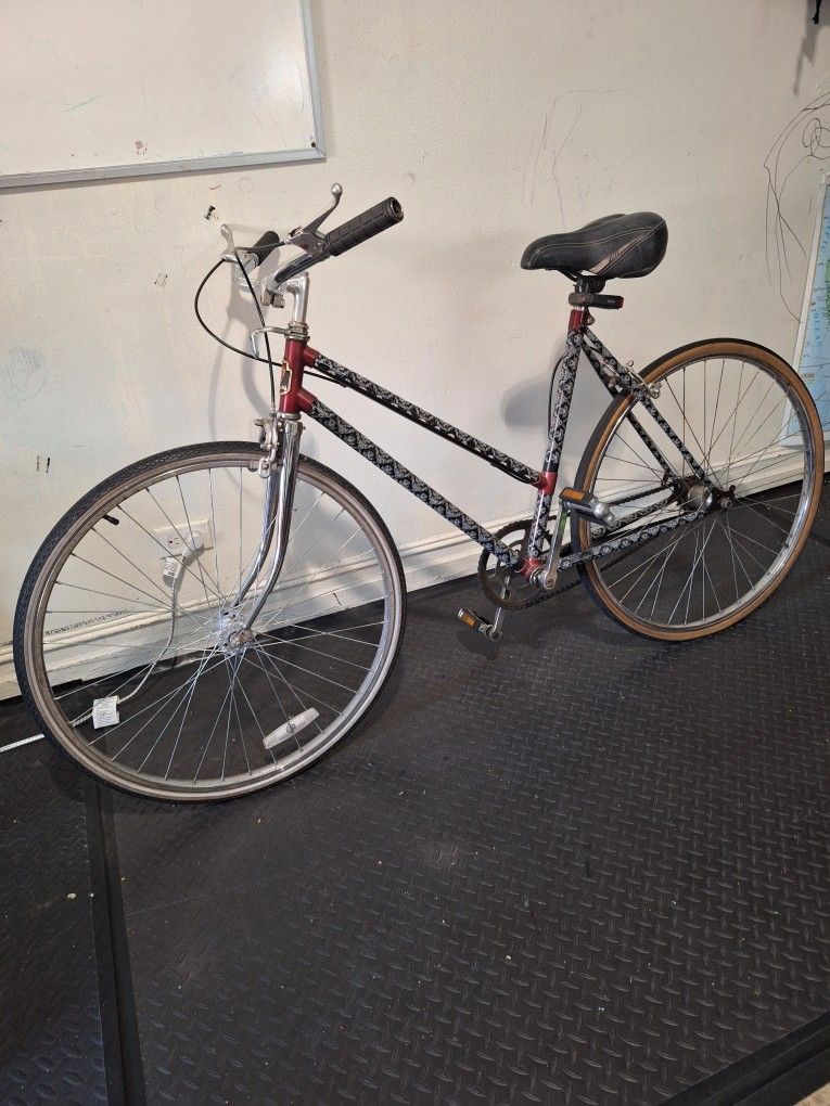 Single Gear Bike