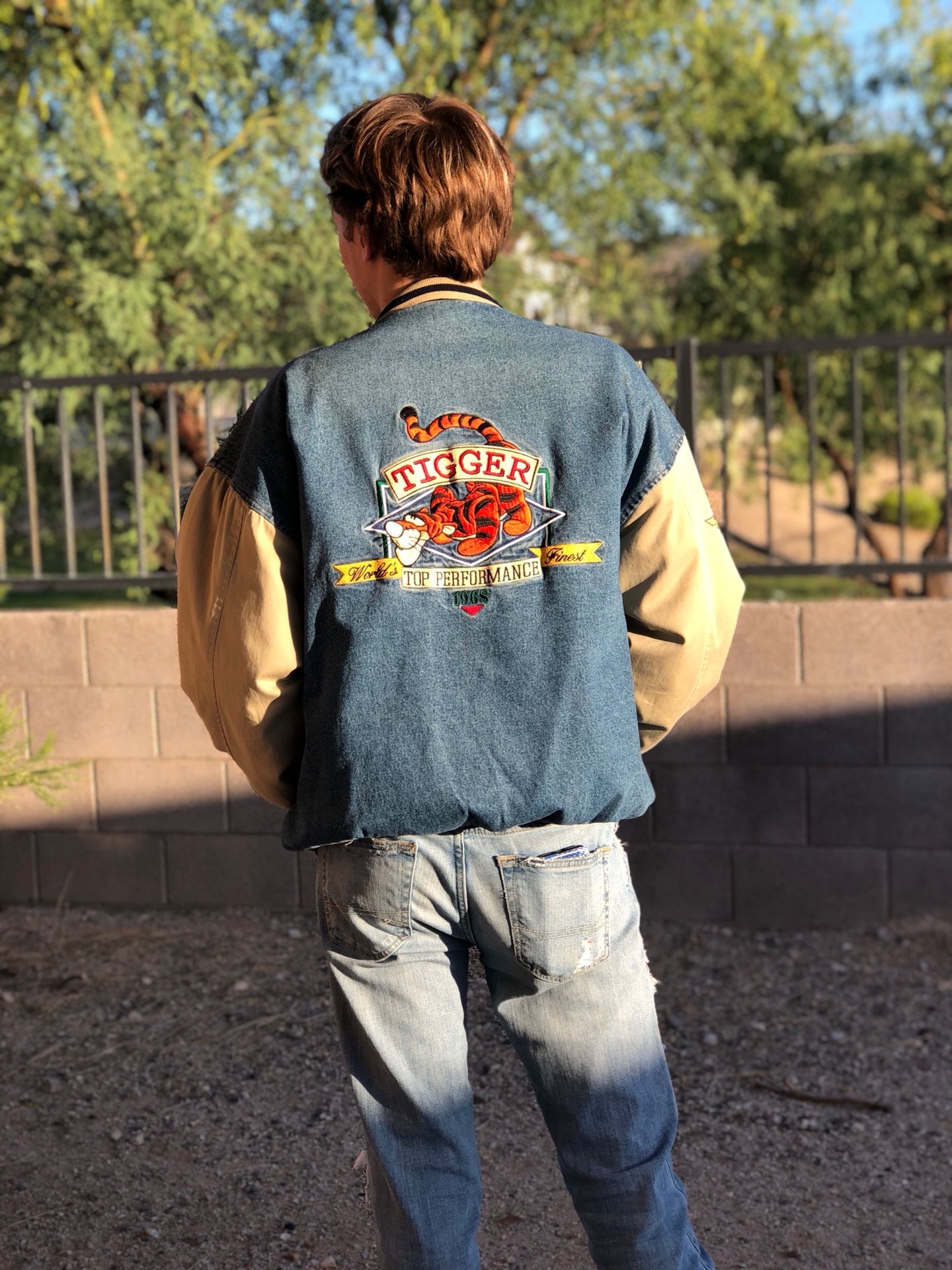 Vintage Disney Tigger Baseball Jacket for Sale in Laveen Village