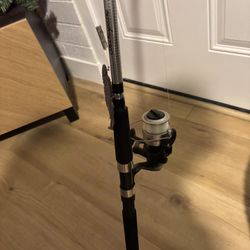 Alpha Shakespeare Saltwater Setup