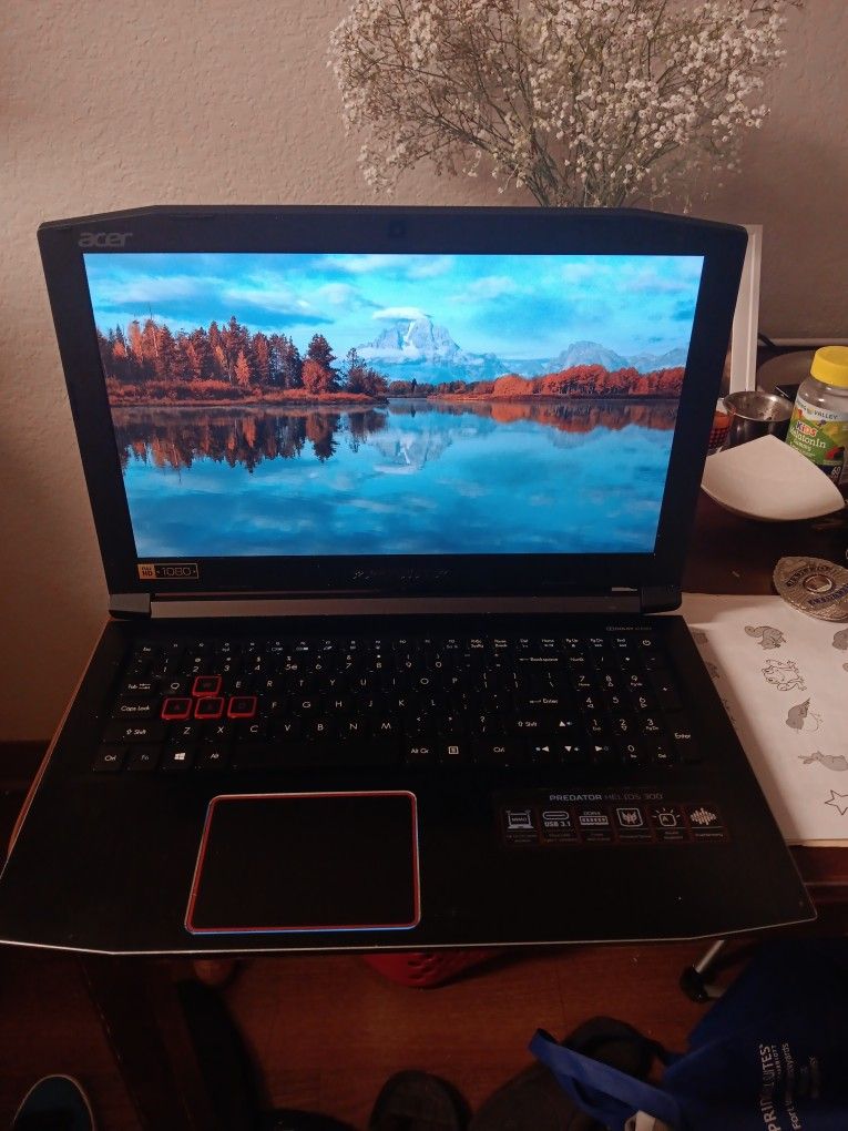Acer Prediator