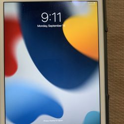 Apple iPad Air 2nd Generation Unlocked Like New!