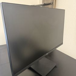 27” LG monitor 
