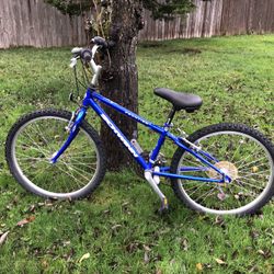Schwinn Frontier Youth Mountain Bike