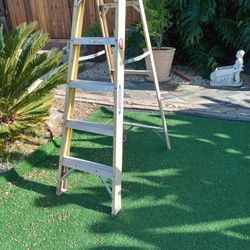 6 Ft Werner Ladder