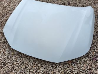 Accord hood