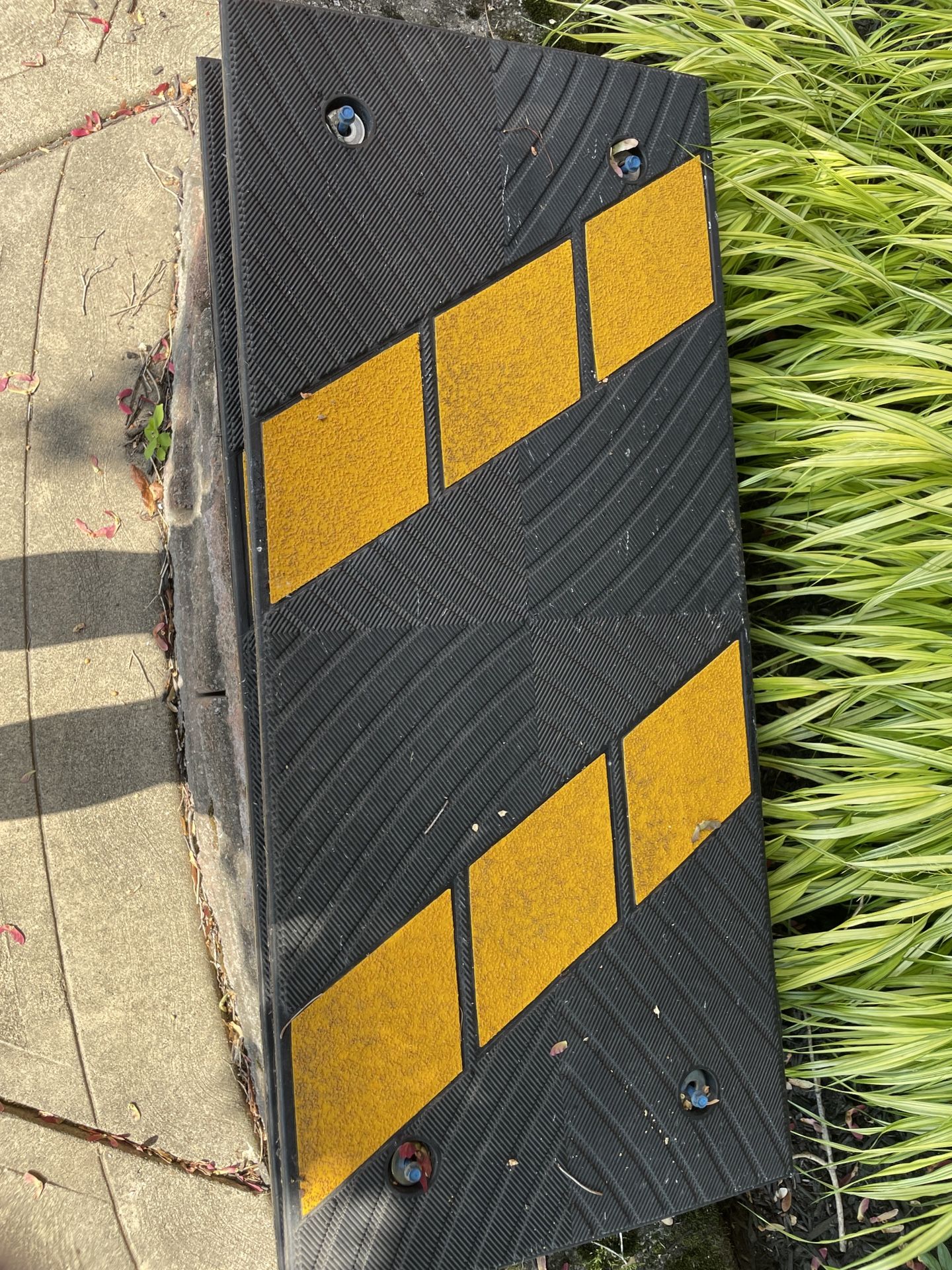 Driveway Ramps