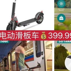 Electric Scooter