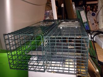 2 small critter cages