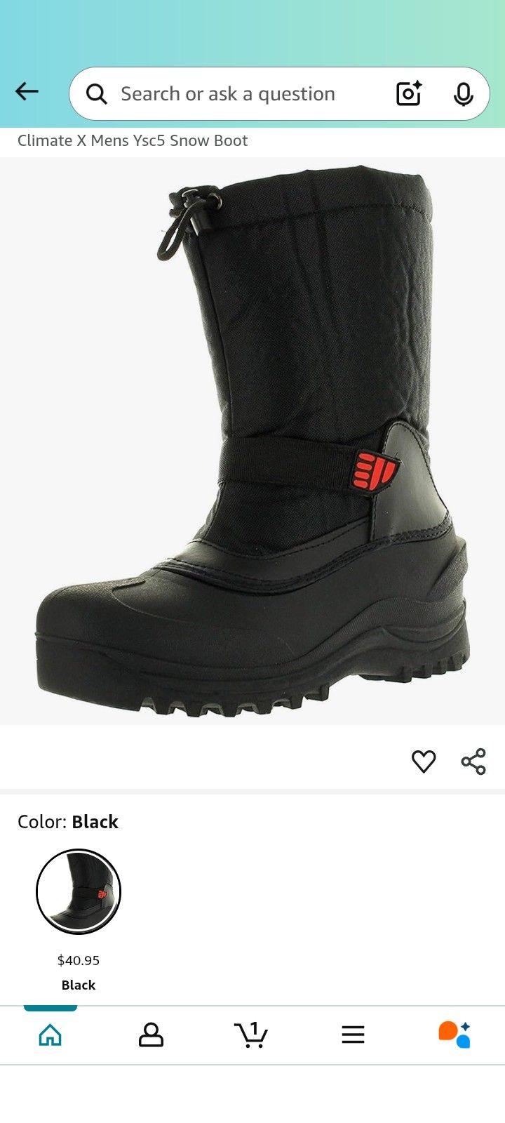 1069 Snow Boots 