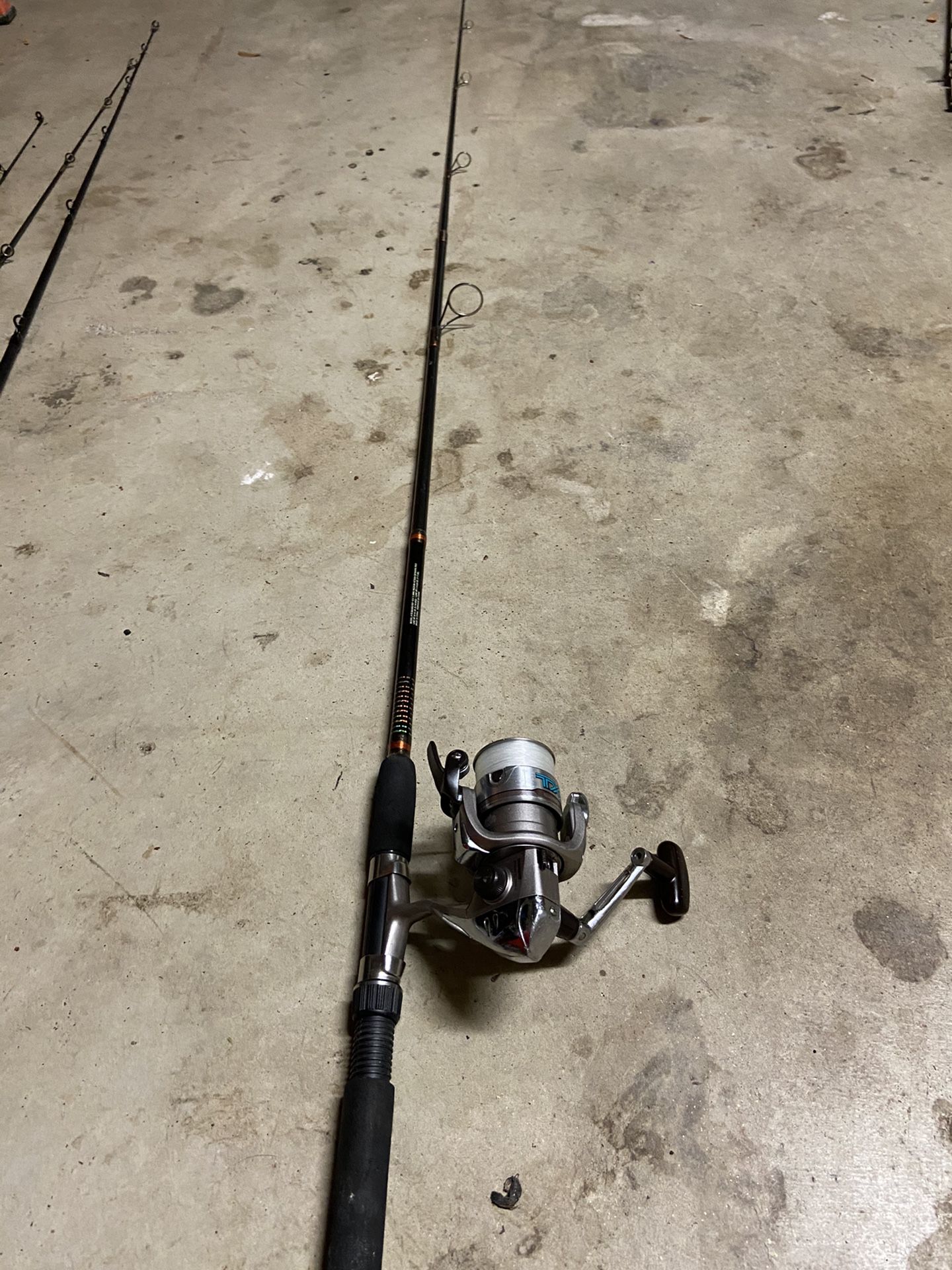 Shimano reel and fish fishing rod