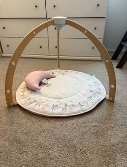 Aden + Anais Play + Discover Baby Activity Gym 